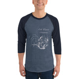 3/4 sleeve raglan shirt