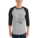 3/4 sleeve raglan shirt